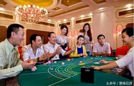 白菜论坛搬砖收益对比图表，助你轻松选择高效策略-白嫖站-免费彩金-白菜社区论坛